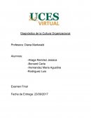 Diagnóstico de la Cultura Organizacional