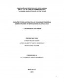 La invasión de los chinos