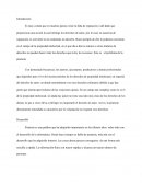 Pirateria Vs Derechos De Autor