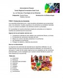 Produccion de colorantes