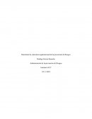 Administración de la prevención de riesgos