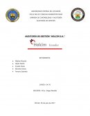 AUDITORÍA DE GESTIÓN “HOLCIM S.A.”