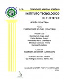 Plan Estratégico URMA Berries