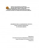 LINEAMIENTOS PARA LA ELABORACIÓN DEL PROYECTO TÉCNICO SUPERIOR UNIVERSITARIO EN PROCESOS QUÍMICOS