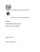 ¿Qué características y propiedades tienen los organismos que habitan en el suelo del área verde del CCH?