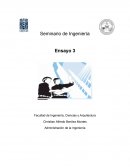 Seminario de ingenieria. Administración de la Ingeniería