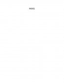 CRONOLOGIA DEL VUELO. FACTORES INVOLUCRADOS EN EL ACCIDENTE