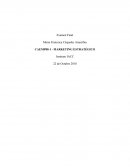 Proyecto final Estrategia de MKt Estrategico