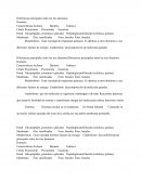 Principales tres dominios