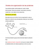 Niveles de organización de las proteínas
