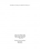 SITUACIÓN PROBLEMA: ADECUANDO UN TERRENO