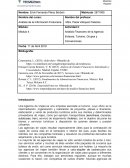 Análisis Financiero de la Agencia Enlaces, Turismo, Grupos y Convenciones