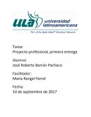 Guia de economia, empresa que se dedica a fabricar bolsas de aire