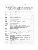 CASO 22: División de servicios de campo de DMI