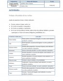 El análisis de los verbos