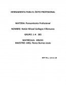 HERRAMIENTA PARA EL ÉXITO PROFESIONAL
