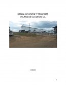MANUAL DE HIGIENE Y SEGURIDAD MOLINOS DE OCCIDENTE S.A.