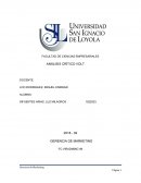 Analisis critico Volt