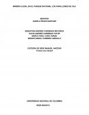 MINERÍA ILEGAL EN EL PARQUE NACIONAL LOS FARALLONES DE CALI