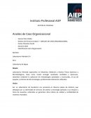 GESTIÓN DE PERSONAS Analisis de Caso Organizacional Laboratorio Hidrolab S.A