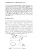 MÉTODO DE LAS CÉLULAS PLANAS O “FLAT-JACKS”