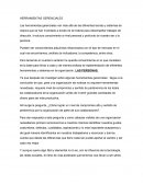 ENSAYO HERRAMIENTAS GERENCIALES