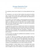Ensayo Derecho Civil