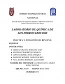 PRÁCTICA 9: NITRACIÓN DEL BENCENO