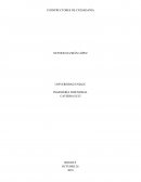 Constructores de la Ciudadanía