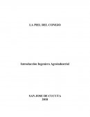 LA PIEL DEL CONEJO Introducción Ingeniera Agroindustrial