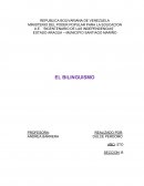 EL BILINGUISMO