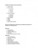 Reporte bovinos de leche