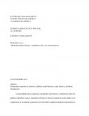 PRÁCTICA No. 4 “PROPIEDADES FÍSICAS Y QUÍMICAS DE LAS SUSTANCIAS”