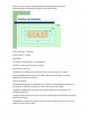 Sistema: conjunto de partes interrelacionadas e interdependientes que actúan cooperativamente en búsqueda de objetivos o fines determinados