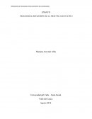 PEDAGOGÍA, REFLEXIÓN DE LA PRÁCTICA EDUCATIVA