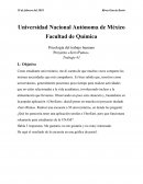Psicología del trabajo humano Proyecto «ServiPuma»