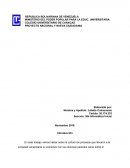 PROYECTO NACIONAL Y NUEVA CIUDADANIA