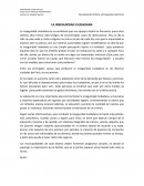 LA INSEGURIDAD CIUDADANA