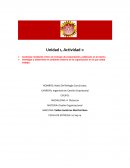 Diseño organizacional. Actividad Unidad