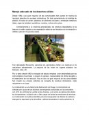 Manejo adecuado de los desechos sólidos