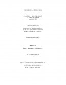 SOLUBILIDAD Y CLASIFICACION DE DISOLVENTES