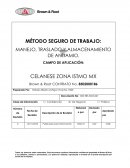 MÉTODO SEGURO DE TRABAJO: MANEJO, TRASLADO Y ALMACENAMIENTO DE ANDAMIO