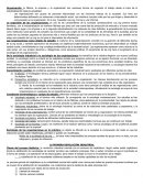 Sociología de las organizaciones , características de la sociedad contemporánea