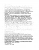 BK, el mercado de fast food