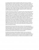 Champú para caballos