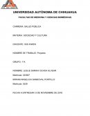 Proyecto de sociedad y cultura