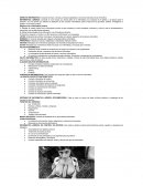 DERECHO INFORMATICO. INFORMATICA JURIDICA