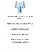 ANALISIS DE LECTURA: “CATALINA DE MEDICI”