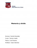 Memoria y olvido . Reflexión sobre los detenidos desparecidos en la dictadura militar