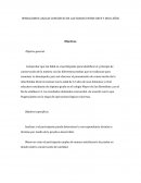 OPERACIONES LOGICAS CONCRETAS EN LAS EDADES ENTRE SIETE Y DOCE AÑOS